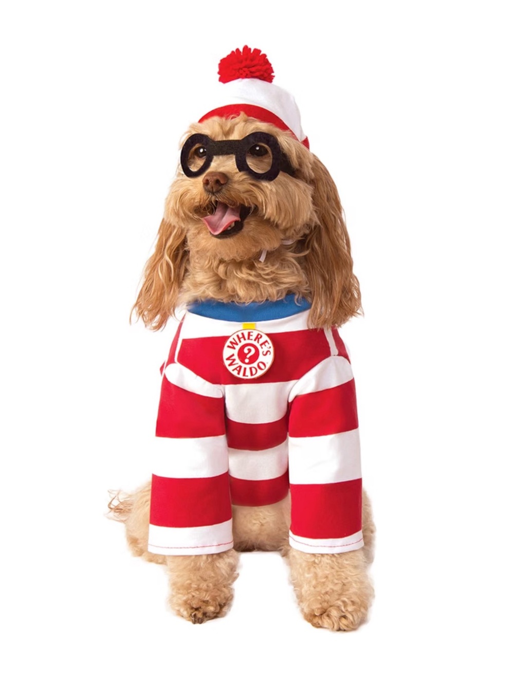 NWT Rubie’s Where’s Waldo Dog Costume Size Medium w/ Hat & Glasses